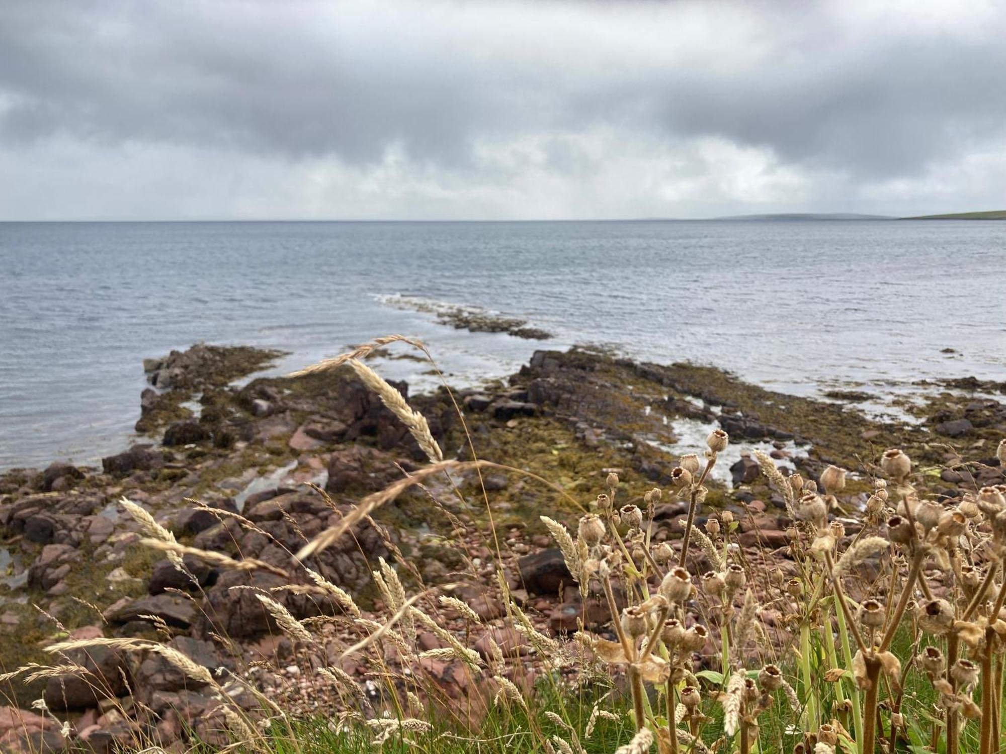Whitehall The Ruah - Clifftop Retreat מראה חיצוני תמונה